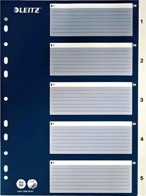 Produktbild von LEITZ Register A4 15 weiß mit blauem Deckblatt (Pappe)