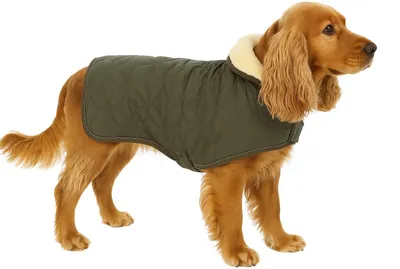 Image de Flamingo manteau d'hiver Ushi kaki, longueur du dos : 45 cm