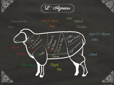 Zdjęcie produktu dla Obraz z nadrukiem kulinarnym - La Viande, Morceaux De L'Agneau (60 x 80 cm)