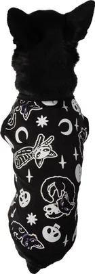 Produktbild von Killstar Hundetop - Purr Off S