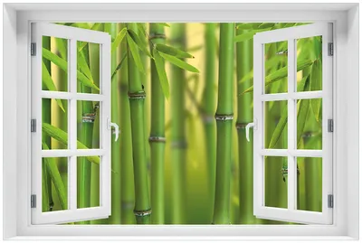 Produktbild von Wallario Premium Glasbild mit Fensterrahmen, freischwebende Optik, kräftige Farben, Größe 60 x 90 cm Motiv Grüner Bambuswald
