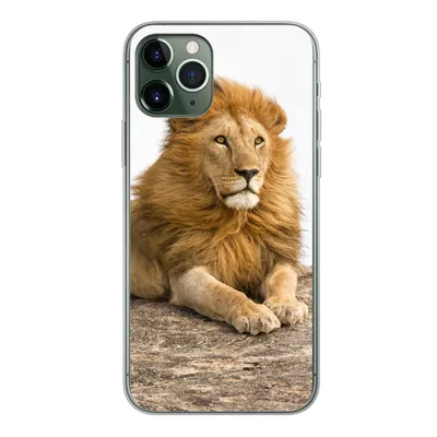 Produktbild von MuchoWow® Handyhülle Schutzhülle Hülle für iPhone 11 Pro Löwe - Mähne - Tier Silikon Softcase Handy Hülle - Handy