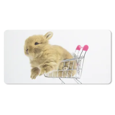 Produktbild von MuchoWow® Schreibtischunterlage Kaninchen - Baby - Weiß 80x40 cm - XXL Mauspad - Gaming Mauspad