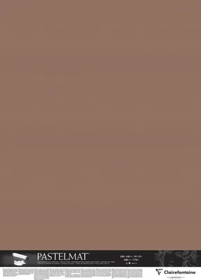 Produktbild von Clairefontaine Pastelmat Pastellmalerei, 5 Bogen 100x140 cm, 360g Braun 396168C