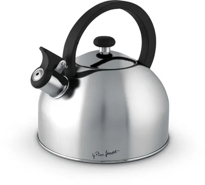 Obrázek produktu pro LAMART LT7056 Nerezová čajová konvice, stříbrná/ černá, objem: 2,5 l