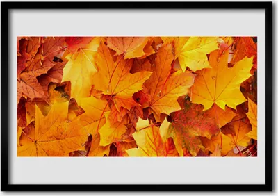 Produktbild von Bild 100x70 MDF-Rahmen Wandkunst Blätter Natur Pflanze
