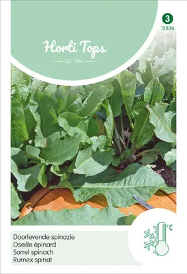 Produktbild von Rumex Spinat | Spinatsamen von Hortitops