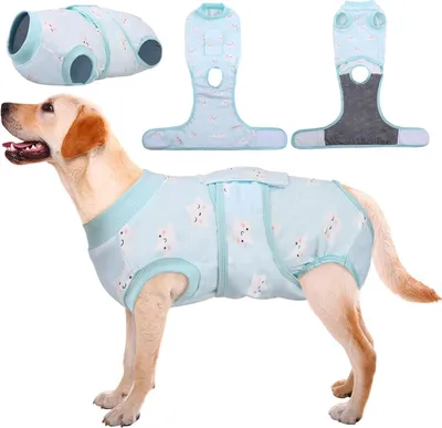 Produktbild von Hundebody Op Kastration Hund Leckschutz Anti-Wundlecken Grün XXL