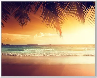 Produktbild von Wallario Wandbild Sonnenuntergang am Strand in der Karibik, Größe: 40,30 x 50,30 cm, Poster mit weißem Aluminiumrahmen