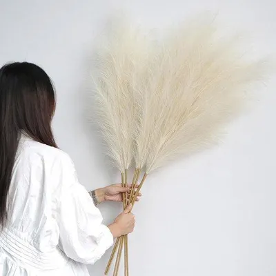 Produktbild von Famanu Kunstblumen Pampasgras - Set von 6 Stück, 113 cm, Beige