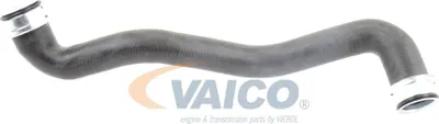 Image de VAICO Tuyau de radiateur Q+, qualité d'origine