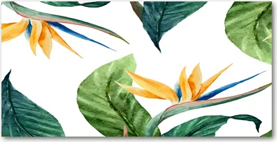 Produktbild von Tulup® Glas-Bild - 100x50 -Wandkunst - Wandbild hinter gehärtetem Sicherheitsglas  - Blumen & Pflanzen - Tropische Blumen - Gelb