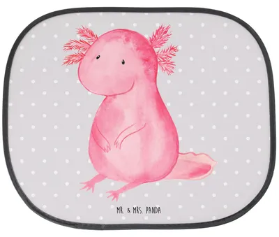 Produktbild von Mr. & Mrs. Panda Sonnenschutz Fürs Auto Axolotl Niedlich - Grau Pastell - Geschenk, Liebe, für Autoscheiben, Lebensweisheit, Sonnenblende, Autoscheibe, Axolot, Freundin