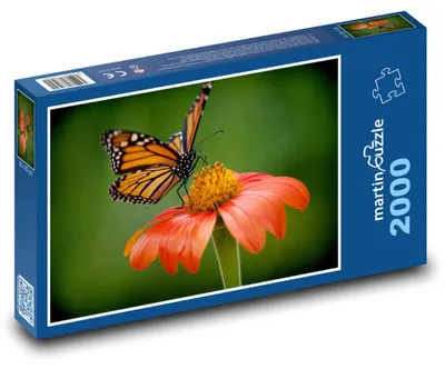 Produktbild von Puzzle 2000 Schmetterling auf Blume - martinpuzzle