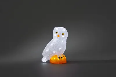 Produktbild von Konstsmide - LED Acryl Eule, klein, 32 kalt weiße Dioden, 24V Außentrafo, transparentes Kabel ; 6185-203