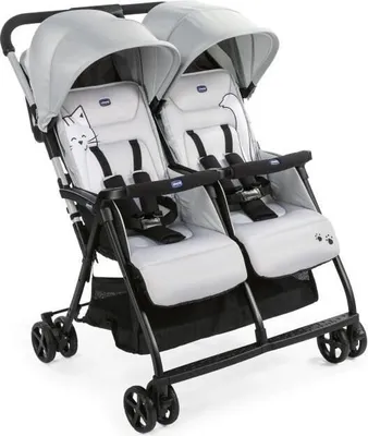 Image de CHICCO Poussette Ohlala Twin Silver Cat