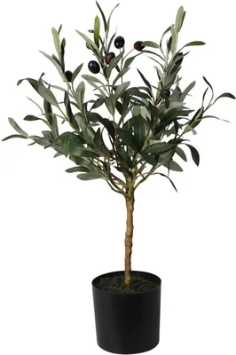 Produktbild von Progarden olivovník v kvetináči zelený čierny polypropylén 16x16x66 cm