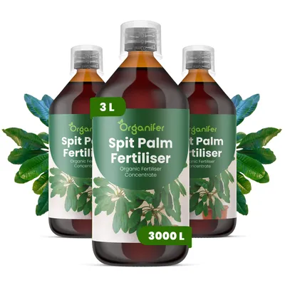 Produktbild von Spitpalmen Flüssigdünger 3x1L – 2-1-8 NPK – Flüssig-Pflanzendünger für Spitpalmen – Organifer