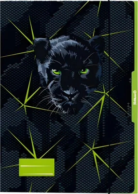 Zdjęcie produktu dla 5x Teczka PELIKAN 276917 Panther - A3, z efektem wysokiego połysku