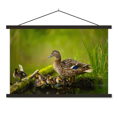 Produktbild von MuchoWow® Textilposter Ente - Vögel - Wasser - Zweig - Moos 60x40 cm mit schwarzem Rahmen - Hölzernes