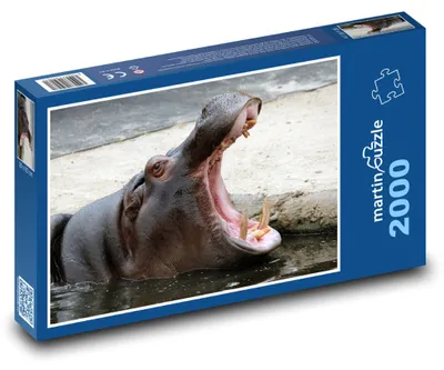 Produktbild von Puzzle 2000 Flusspferd mit Offenem Maul - martinpuzzle