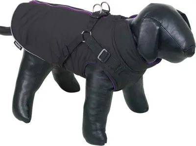 Produktbild von Nobby Hundemantel Sobak schwarz-lila