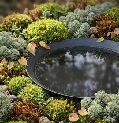 Produktbild von Ella Doris Garten Wasserschale, Antrazit, Ø60cm