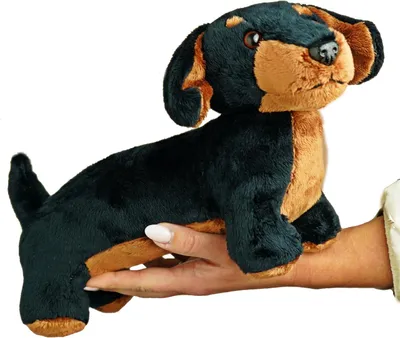 Produktbild von Plüschhund Teckel, 30 cm, zufällige Farbe, Kuscheltier für Kinder