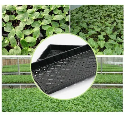 Image de Lot de 2 bacs de culture pour plantes, dimensions 54 x 28 cm