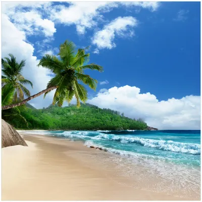 Produktbild von Wallario Premium Glasbild, freischwebende Optik, kräftige Farben, Größe 30 x 30 cm Motiv Urlaub auf den Seychellen unter Palmen am Sandstrand