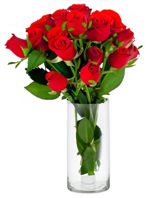Produktbild von Cepewa Blumenvase Zylinder - klar transparent - Glas - 15 x 30 cm - mundgeblasenes Glas