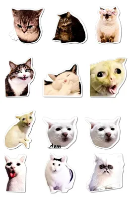 Produktbild von Katzen-Meme Kühlschrankmagnete, 12 Stück, Witzige Magnete für Kühlschrank und Büro