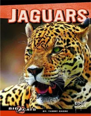 Obrázok produktu pre Jaguars