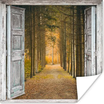 Produktbild von MuchoWow® Poster Wald - Herbst - Ausblick 100x100 cm - Babyzimmer