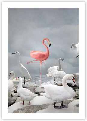 Produktbild von Poster - Poster ohne Rahmen - Flamingo Schwan Fantasie - 50x70 cm - Wand Bild - Wanddeko - Wandbilder - Kunstposter - Wandposter - Bilder - Kunstdruck - Wanddekoration - Wandbild - P2XPA50x70-4929