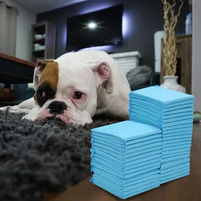 Immagine prodotto di VINGO 120 pezzi pad per cani pad per l'addestramento pad assorbenti cucciolo toilette gatto cane lettiera