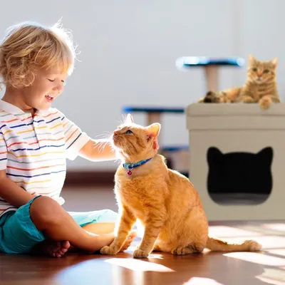 Productafbeelding van Famanu: Moderne kattenmeubels - Opklapbaar