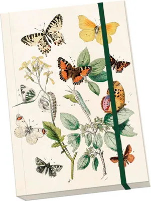 Immagine prodotto di Quaderno Farfalle