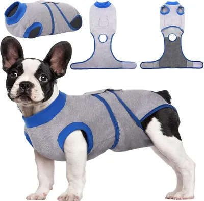 Produktbild von Hundebody Op Kastration Rüde Hündin Leckschutz Anti-Wundlecken Grau XS