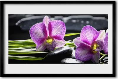 Produktbild von Bild 60x40 MDF-Rahmen Wandkunst Orchid Zen Spa Steine