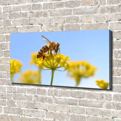 Produktbild von Tulup® Leinwandbild - 140x70 cm - Wandkunst - Drucke auf Leinwand - Leinwanddruck  - Blumen & Pflanzen - Gelb - Biene Blume