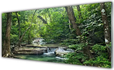 Produktbild von Acrylglasbilder 125x50 Wandbild Druck Wald Natur