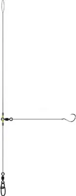 Image de Spro Salt Trainard bas de ligne argent 1 argent 1