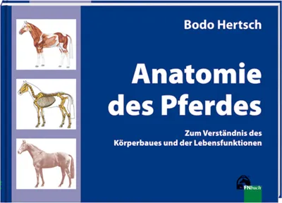 Image de Anatomie des Pferdes