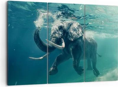 Produktbild von Bild auf Leinwand - Leinwandbild - Elefant Tier Wasser - 105x70cm - Wand Bild - Wanddeko - Leinwanddruck - Bilder - Kunstdruck - Wanddekoration - Leinwand bilder - Wandkunst - CE105x70-3944