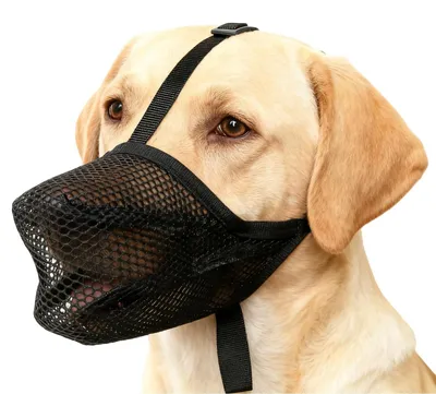 Immagine prodotto di Museruola regolabile in nylon per cani, taglia M