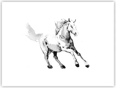 Produktbild von Poster - Poster ohne Rahmen - Pferd Galopp Tier - 40x30 cm - Wand Bild - Wanddeko - Wandbilder - Kunstposter - Wandposter - Bilder - Kunstdruck - Wanddekoration - Wandbild - P2XAA40x30-5117
