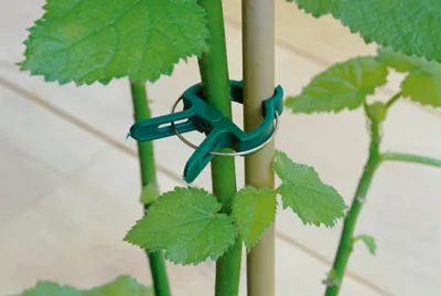 Produktbild von Garten Kunststoff Pflanzenclips Pflanzenklammern Pflanzenbinder Pflanzenhalter