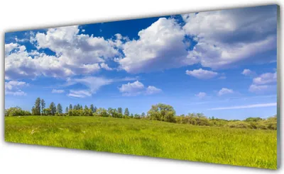 Produktbild von Acrylglasbilder 125x50 Wandbild Druck Wiese Gras Landschaft