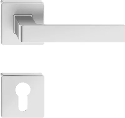 A silver door handle and escutcheon plate are shown against a white background.